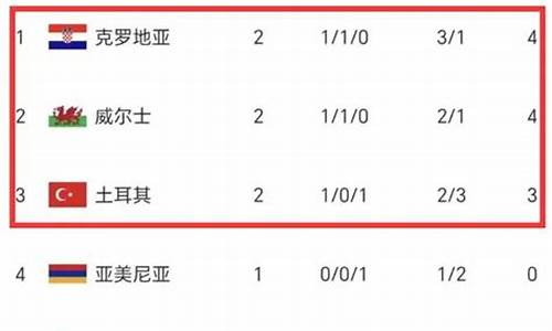土耳其预选赛战绩-欧洲杯预选赛土耳其互殴