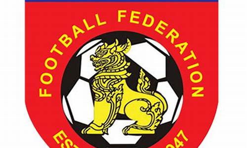 缅甸足球和新加坡足球_缅甸国家足球队
